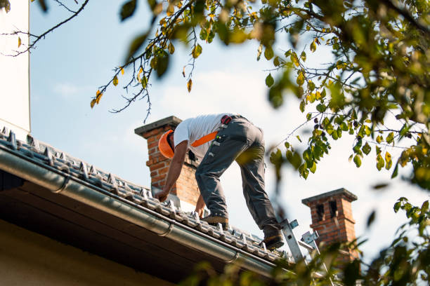 Best Storm Damage Roof Repair  in Urbana, IA