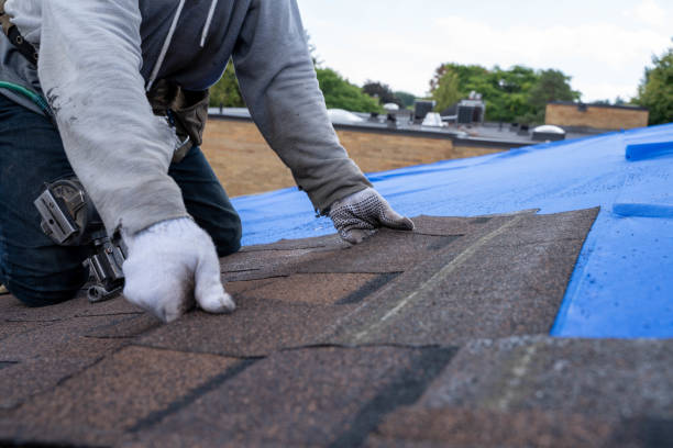 Tile Roofing Contractor in Urbana, IA