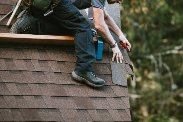 Best Roof Maintenance Services  in Urbana, IA